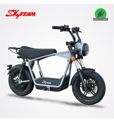 Moto électrique DAX E-WAT 1200W - SKYTEAM - Gris - NEW MOTORZ - FR