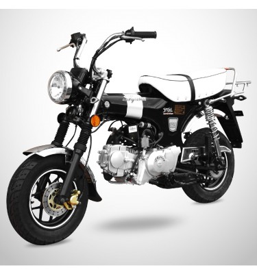 Moto électrique DAX E-WAT 1200W - SKYTEAM - Gris - NEW MOTORZ - FR