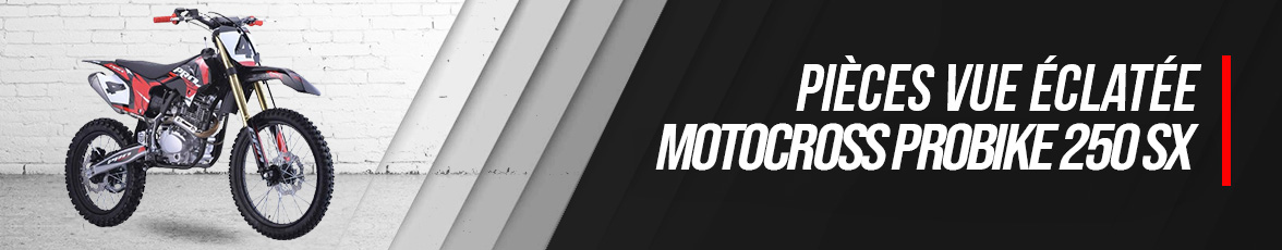 Vue éclatée Motocross PROBIKE 250 SX - Pièces détachées PROBIKE